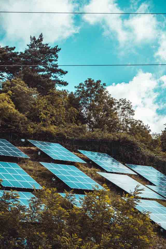 SunPower Solar Panels Settlement
